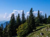 Impression vom Wanderweg Hofbauernalm